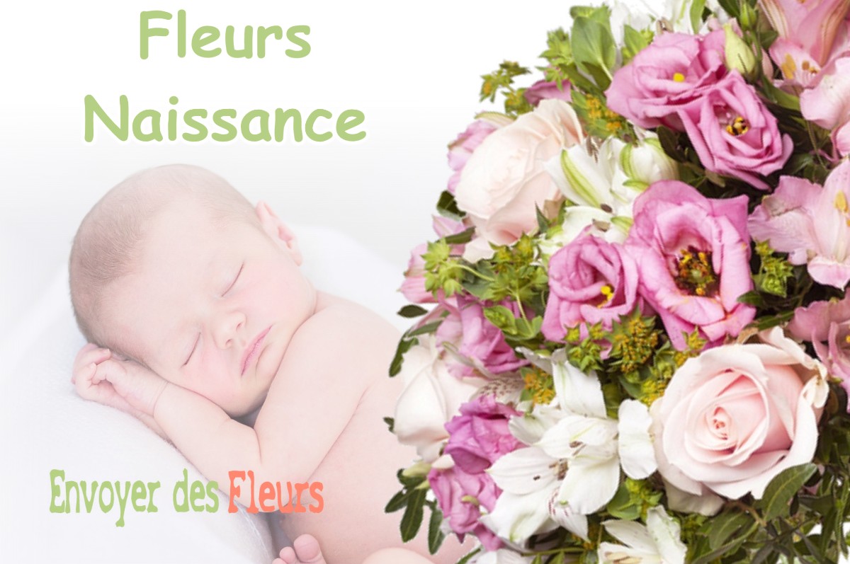 lIVRAISON FLEURS NAISSANCE à BROUSSEY-RAULECOURT